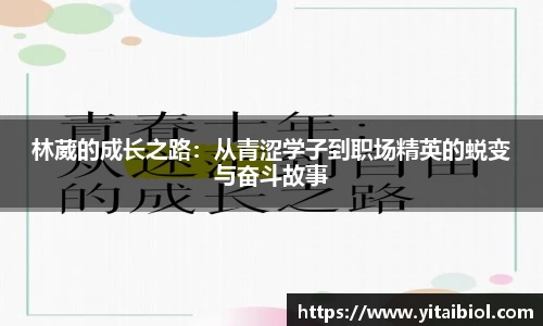 永利皇宫登录入口